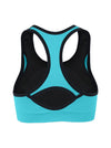 Blue Women Champion Full Support Daily Cheap Outdoor Sport Bra View Back